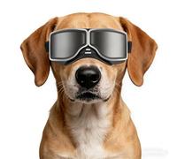 NAMSAN Gafas de sol para perros de raza mediana y grande, protección UV, protección para los ojos de perro, resistentes al viento, antipolvo, a prueba de nieve, marco suave, correas elásticas, color