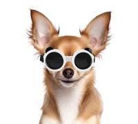 NAMSAN Gafas de sol para perros pequeños, con marco redondo, protección UV, para perros pequeños, color blanco