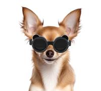 NAMSAN Gafas de Sol para Perros Pequeños - Marco Redondo, Protección UV, Color Negro