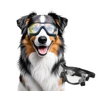 NAMSAN Gafas para Perros Gafas de Sol para Perros con Correa Ajustable Fácil de Usar Protección Ocular para Perros Medianos y Grandes