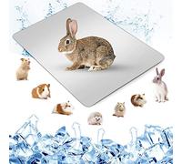 Namvo Summer Cool Plate Pad di raffreddamento Tappetino per criceti Letto di Ghiaccio per piccoli animali Coniglio Totoro Cavia 30 * 20 cm/ 11,8 * 7,8 pollici