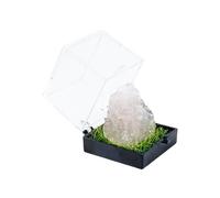 Namzi 2 piezas de cristal natural blanco para minería, caja de etiquetas, adorno de piedra cruda de cristal crudo para niños, ciencia y popularización, regalo de enseñanza