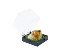 Namzi 2 piezas de piedra natural amarilla de cristal crudo para minería, adorno de caja de etiquetas, piedra cruda de cristal para niños, ciencia de minería, popularización, regalo de enseñanza