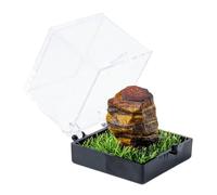 Namzi 2 piezas de piedra natural marrón de cristal crudo para minería, adorno de caja de etiquetas, piedra cruda de cristal crudo para niños, ciencia de minería, popularización, regalo de enseñanza