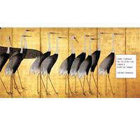 Nanae Yoshimura - The Art of the Koto Vol.3: Works for Nijugen