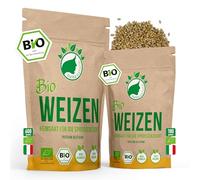 NanaNatura 's Semillas germinales de trigo orgánico 600g | Semillas germinables para cultivo germinal | Microvegetales para el brote