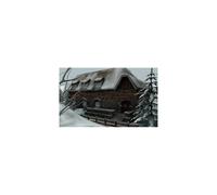 Nancy Drew: El lobo blanco de Icicle Creek - PC