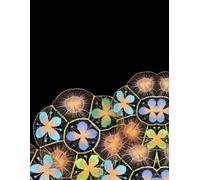 Ñandutí Pattern Book - Cuaderno Creativo de Puntos | Paraguayan Lace Dot Grid Sketchbook for Crochet, Lettering & Pattern Design. Color Negro