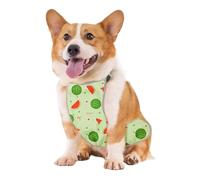 Nankoyal Chaleco para Perro - Anti-Suciedad Impermeable Traje para Cachorro De Barriga,Chaleco para Perro Pequeño con Diseño De Caricatura - para Caminatas Diarias Senderismo Camping Visita Parque