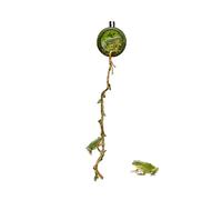 Nankoyal Recinto para Arañas - con Geckos Magnéticos y Cuerda de Escalada para Estas Arañas - Hábitat para Mascotas como Ciempiés, Reptiles y Geckos, Decoración para Escritorio de Exploración,