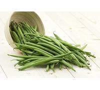 - Nano fagioli si Ibiza - 60 semi - resistente alla malattia - NPWS:Seeds