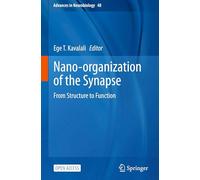Nano-organization of the Synapse: From Structure to Function: 48 (Advances in Neurobiology, 48)