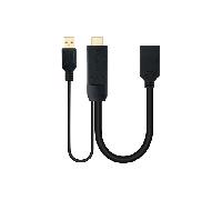 Nanocable Conversor HDMI/M a DP/H Negro 20 cm