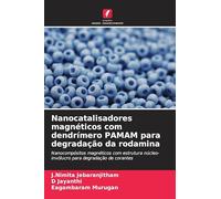 Nanocatalisadores magnéticos com dendrímero PAMAM para degradação da rodamina: Nanocompósitos magnéticos com estrutura núcleo-invólucro para degradação de corantes