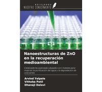 Nanoestructuras de ZnO en la recuperación medioambiental: Catalizadores avanzados dopados con metales para mejorar la purificación del agua y la degradación de colorantes