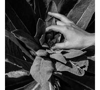 Nanook Of The North - Heide [VINYL] [Vinilo]