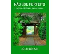 Não Sou Perfeito (ebook)