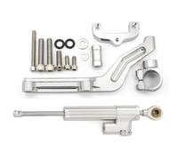 Naojino Amortiguador dirección Compatible con Z650 2017 2018 2019 2020 2021 2022 2023 Soporte Estabilizador De Amortiguador De Dirección De Motocicleta Montaje Ajustable(Silver)