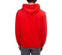 Napapijri Sudadera con capucha Burgee de invierno para hombre