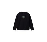 NAPAPIJRI Sudadera beige / menta / negro L EUR