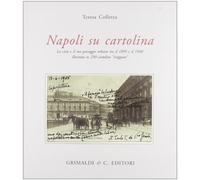 Napoli su cartolina. La città e il suo paesaggio urbano tra il 1895 e 1940 illustrata su 250 cartoline «viaggiate». Ediz. illustrata