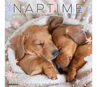 Naptime: Dogs & Puppies on Their Best Behavior 2026 Wall Calendar
