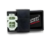 Naraku Cdi Unidad sin restricciones para Qingqi | Unidad de encendido, sistema DC, OEM NK39021 compatible con REX RS 460 50, REX RS 500 50, Peugeot V-Click 50