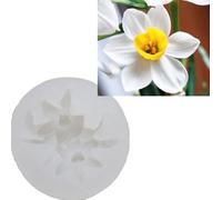 narcisos moldes de silicona formas flores - 2pcs/set