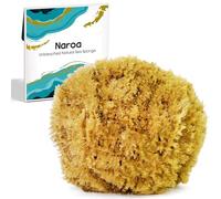 NAROA Esponja Natural Exfoliante para la Ducha | Lufa Marina de Baño para una Piel Saludable | Estropajo Corporal sin Blanquear | Ecológica y Sin Plástico (Pequeña)