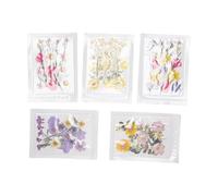 Naroote "100 Piezas Hermosas Flores Prensadas Reales Conjunto Scrapbooking Artesanías de Resina Regalos únicos Cumpleaños Vacaciones Días especiales" (planta 5)