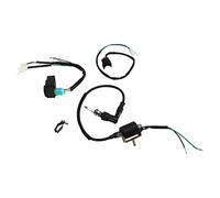 Naroote Arnés de Cableado del Motor Kick Start, Kit de Telar con Interruptor de Manija de Bobina de Encendido con Enchufe de Caja CDI con Accesorios Completos, Ideal para Dirt Pit Bike ATV