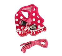 Naroote Arnés para Perros Collar para Perros A Prueba de Escapes Ligero Ajustable para Evitar Asfixia para Entrenamiento de Competencia (XL)