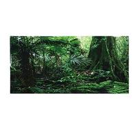 Naroote Caja de PVC para Reptiles, Fondo de Selva Tropical, Póster para Pecera, Pegatina Adhesiva para Acuario, Material de PVC No Tóxico (61 * 41CM)