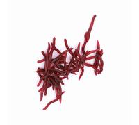 Naroote Cebo de Pesca de Lombriz de Tierra Suave, Señuelos de Gusano de Sangre de 4cm para Lubina de Carpa, 50 Unids/Paquete, Cebo de Mar de Goma Artificial (100 Unidades por Paquete)