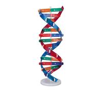 Naroote Colorido Juguete Modelo de ADN Humano de Doble Espiral para Niños, Kit de Enseñanza de Ciencias Educativas para Diversión sin Fin, Regalo Ideal en Cumpleaños o Navidad