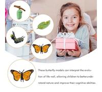Naroote Etapas de Insectos, Kit de Ciclo de Vida de Insectos Realista para la Escuela para Estudiantes (Naroote4dpkmgahis-10339685)