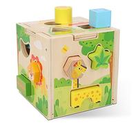 Naroote Juguetes Educativos, Bloques de Construcción de Madera, Forma de Madera, Juguete Que Hace Juego, de Bloques de Construcción de Seguro para bebé (Caja de Inteligencia de Dibujos Animados)