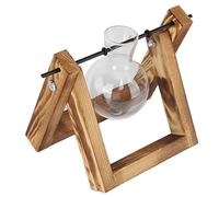 Naroote Macetero de Cristal Estilo Vintage con Forma de Mini Bombilla, Terrario de Cristal para Decoración del Hogar, Oficina, Soporte de Madera Retro para Sala de Estar, Dormitorio, Cocina,