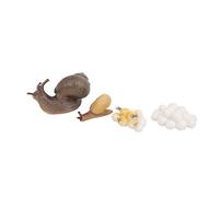Naroote Modelo de Insecto con Ciclo de Crecimiento de Caracol, Juguete Educativo para Niños, Modelo de Ciclo de Vida Animal de Simulación, Regalo para Niños