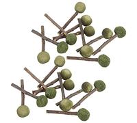 Naroote Palitos para Masticar Conejos, Palitos Duraderos para Moler Dientes, Bolas de Hierba para Conejillos de Indias, Hámsteres, 20 para Morder de Alfalfa y Manzano