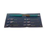 Naroote Pluma de Inmersión de Caligrafía con Escritura Suave, 6 Puntas Intercambiables para Dibujar Arte de Palabras, Cian Ligero Retro, Adecuado para Principiantes en Caligrafía Inglesa