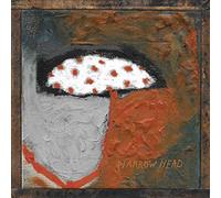 NARROW HEAD - 12TH HOUSE ROCK [Vinilo]