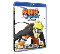 Naruto Shippuden - Le film : Un funeste présage [Francia] [Blu-ray]