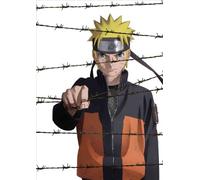 Naruto the Movie Blood Prison [DVD de Audio]