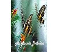 Nas Asas Da Borboleta (ebook)