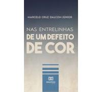 Nas Entrelinhas De Um Defeito De Cor (ebook)