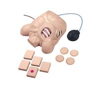 nasco w44673 Torso para Thorax drenaje