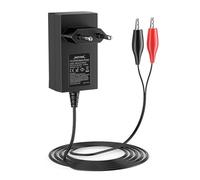 NASTIMA Cargador 7,3V 1000mA LiFePO4 para Baterías LiFePO4 de 6V 4Ah/4,5Ah/6Ah/7Ah/12Ah, con Protección contra Cortocircuitos, Sobrecorriente y Sobretensión, y luz Indicadora de Carga