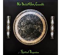 Nat Birchall Unity Ensemble - Spiritual Progressions [Vinilo]