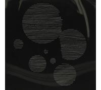 Nate Wooley - Seven Storey Mountain